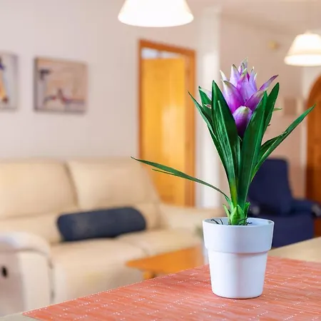 Apartment El Albero